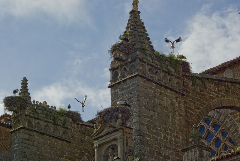 IMGP0105