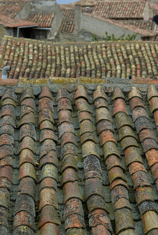 IMGP0167