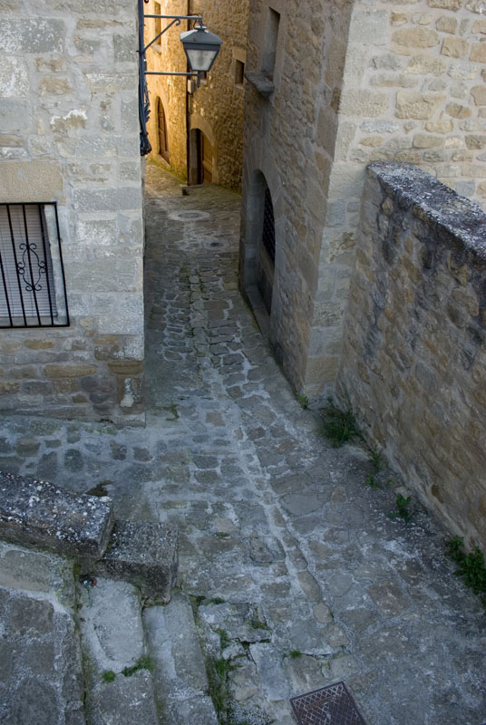 IMGP0281