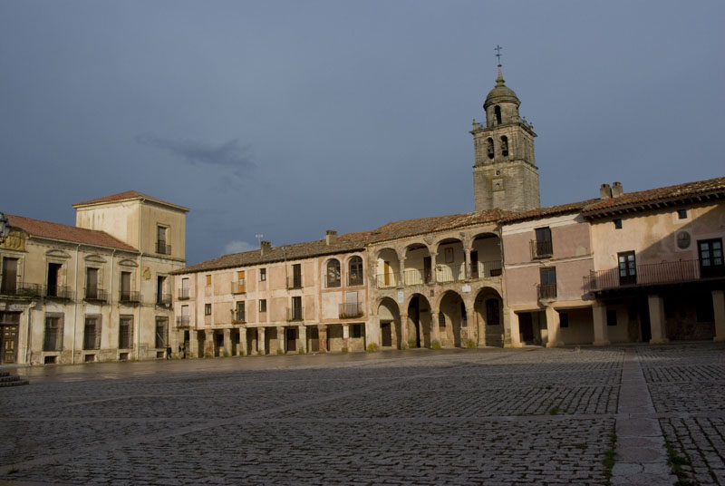 IMGP0308